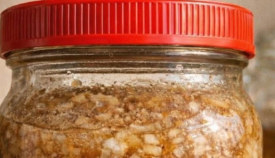 Grated ginger, onion, garlic, lemon juice and honey. A teaspoon a day