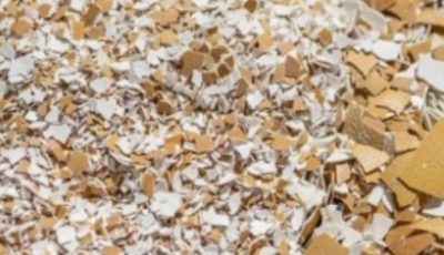My Mother Could NOT Walk Because of Pain in Her Knees and Bones Until She Tried This! Eggshell Remedy