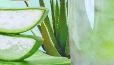 Aloe Vera with Cinnamon: The Home Remedy That Protects Your Health and Vision