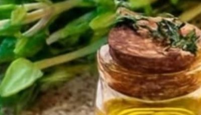 Thyme: The Natural Remedy to Regenerate Cartilage & Strengthen Your Knees