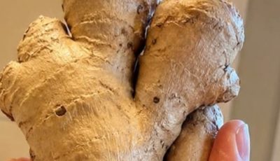 Ginger Garlic Onion And Lemon Mix Cleanses Your Body And Lungs Fast
