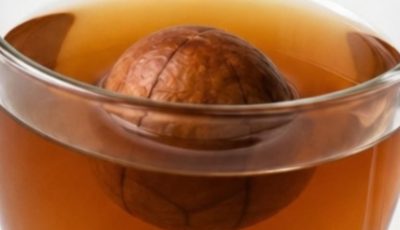 Avocado Seed Tea: A Traditional Beverage and Its Potential Wellness Benefits