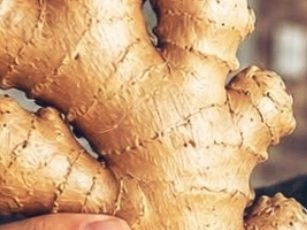 Avocado And Ginger Trigger A Cholesterol, Joint, And Fatigue Reset