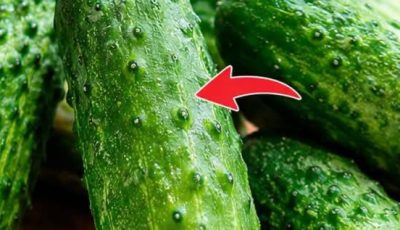 Doctors Reveal What Really Happens When You Eat Cucumber in Salads Every Day