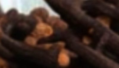 4 Secret Uses of Clove Spice You Need to Know
