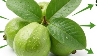 Guava Leaf Tea: Benefits, Uses, and How to Prepare It Naturally 🌿