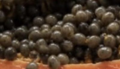 Papaya Seeds for Intestinal Parasites: A Traditional Natural Remedy for Digestive Health