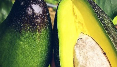 Amazing Benefits of Avocado: Why This Superfood Deserves a Place in Your Daily Diet