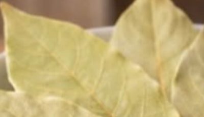 Natural Herbal Infusion with Oregano Poleo, Bay Leaves & Guava