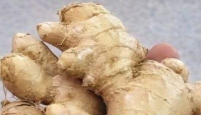 Grated ginger, onion, garlic and lemon juice
