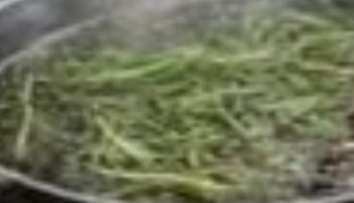 Rosemary Tea: The Simple Natural Drink That Could Transform Your Daily Routine