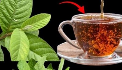 help your well-being: natural support for diabetes, poor circulation, high blood pressure and more