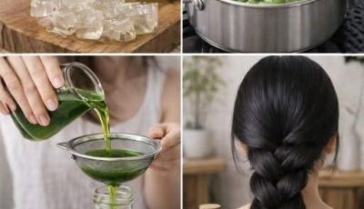 Aloe Vera Hair Oil