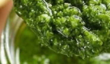 How To Use The Moringa Leaf Remedy That Quietly Nourishes Your Whole Body