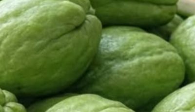 Discover How to Add Chayote to Your Daily Routine to Support Natural Health and WellnessDiscover How to Add Chayote to Your Daily Routine to Support Natural Health and Wellness
