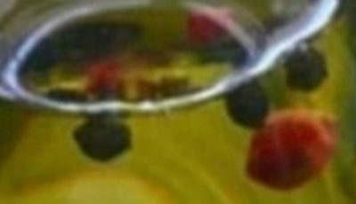 The oil renowned for eliminating uric acid from the bloodstream, alleviating anxiety, chronic arthritis, rheumatism, and reducing cravings for cigarettes and alcohol.
