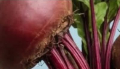 The Truth About Beetroot and How You Should Consume It