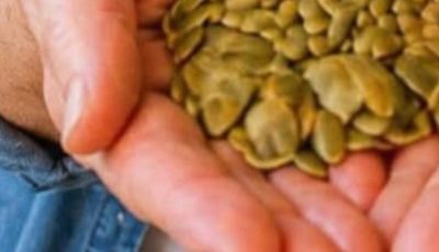 Worried About Aging Eyes? 3 Everyday Seeds Seniors Often Overlook
