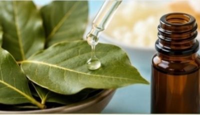 Bay Leaves for Wrinkles: A Natural Anti-Aging Remedy That Nourishes the Skin